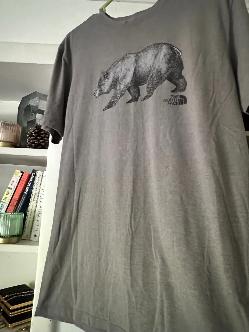 The North Face Men’s Gray Bear Graphic Short Sleeve Tee